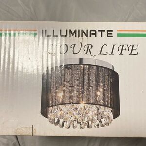 Brand New Ceiling Light